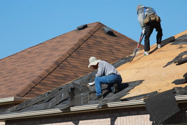 Best Storm Damage Roof Repair  in Fayetteville, AL