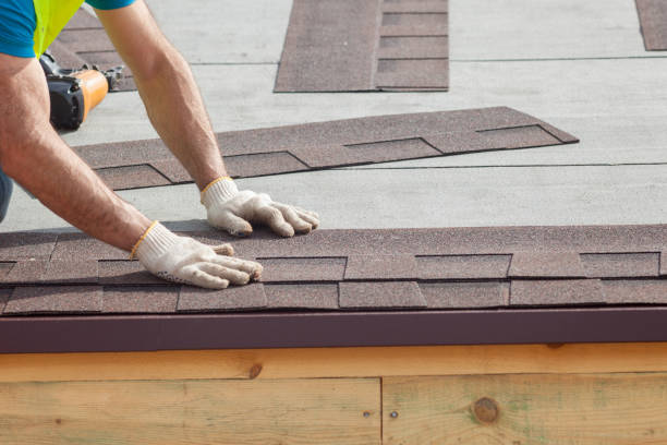 Best Skylight Installation and Repair  in Fayetteville, AL
