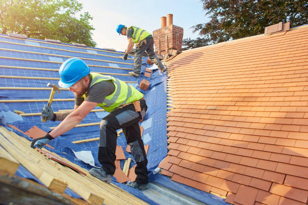 Best Roof Ventilation Installation  in Fayetteville, AL